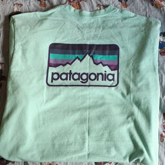 Patagonia Other - Patagonia 'Teal'' Tee L